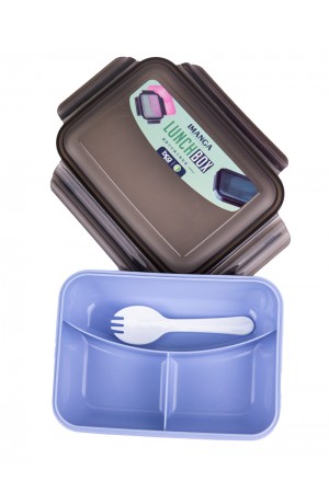 صندوق غداء مقسم مع أدوات طعام