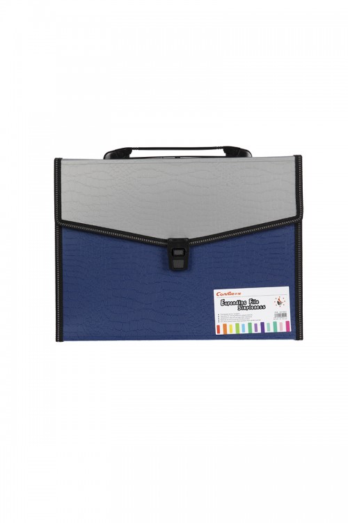 ملف شنطة جيوب مقسمة من الداخل للأوراق