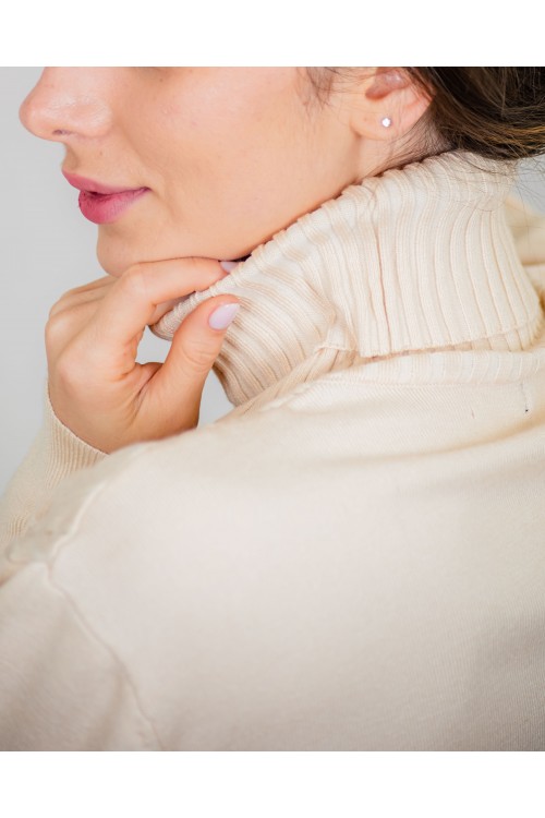 فستان شتوي نسائي طويل أنيق  بأكمام طويلة وياقة عالية