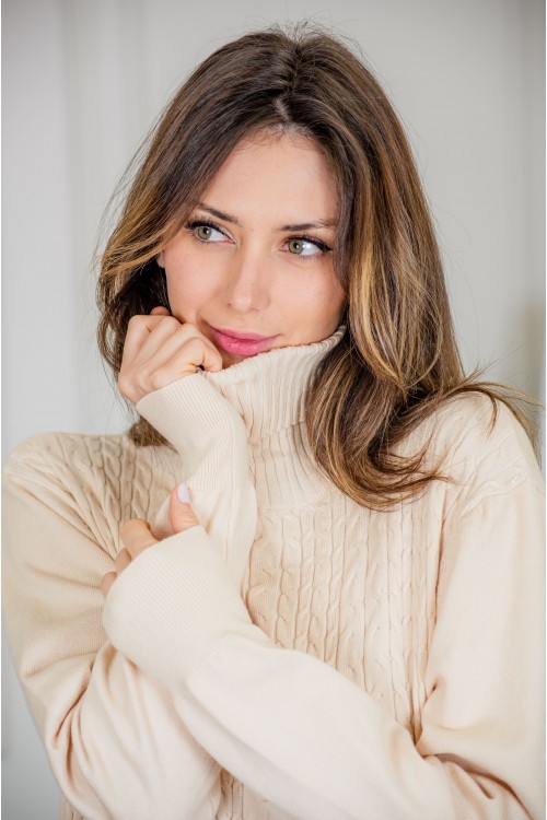 فستان شتوي نسائي طويل أنيق  بأكمام طويلة وياقة عالية