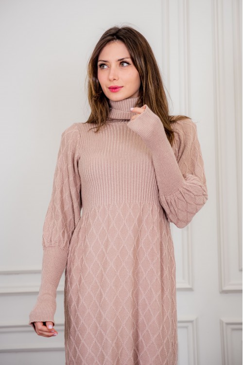 فستان شتوي نسائي طويل أنيق  بأكمام طويلة وياقة عالية