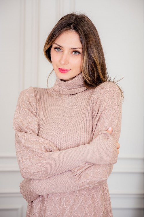 فستان شتوي نسائي طويل أنيق  بأكمام طويلة وياقة عالية