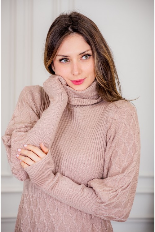 فستان شتوي نسائي طويل أنيق  بأكمام طويلة وياقة عالية