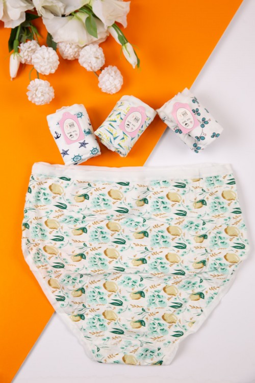 سروال داخلي نسائي مجموعة 4 قطع