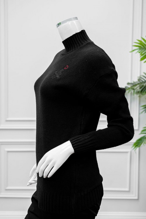 بلوزة نسائية شتوية لون أسود ياقة عالية و بأكمام طويلة