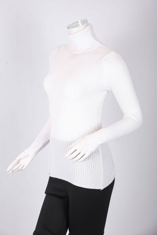 بلوزة نسائية شتوية متعددة الألوان ياقة عالية و أكمام طويلة