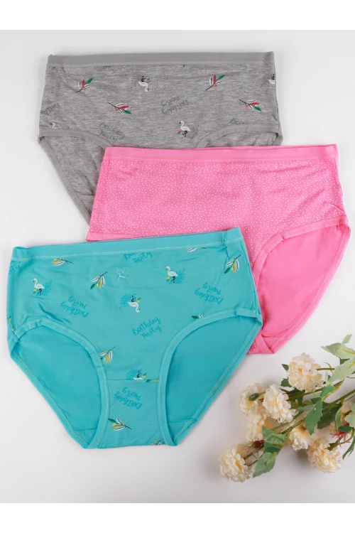 طقم سراويل داخلية مشكل - 3 قطع