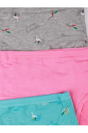 طقم سراويل داخلية مشكل - 3 قطع