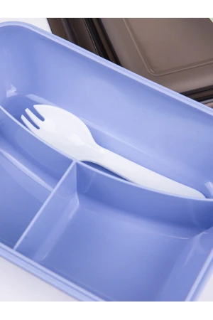 صندوق غداء مقسم مع أدوات طعام