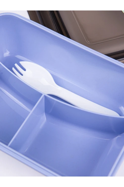 صندوق غداء مقسم مع أدوات طعام