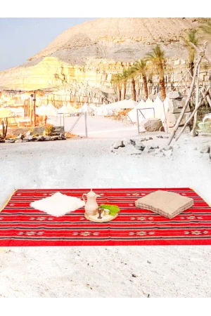 سجاد رحلات مخطط مزين بطبعات