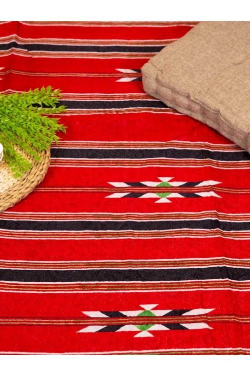 سجاد رحلات مخطط مزين بطبعات