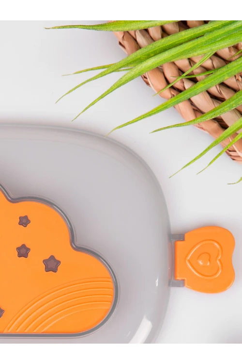 حافظة طعام بغطاء شفاف و ملعقة