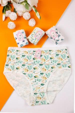 سروال داخلي نسائي مجموعة 4 قطع 