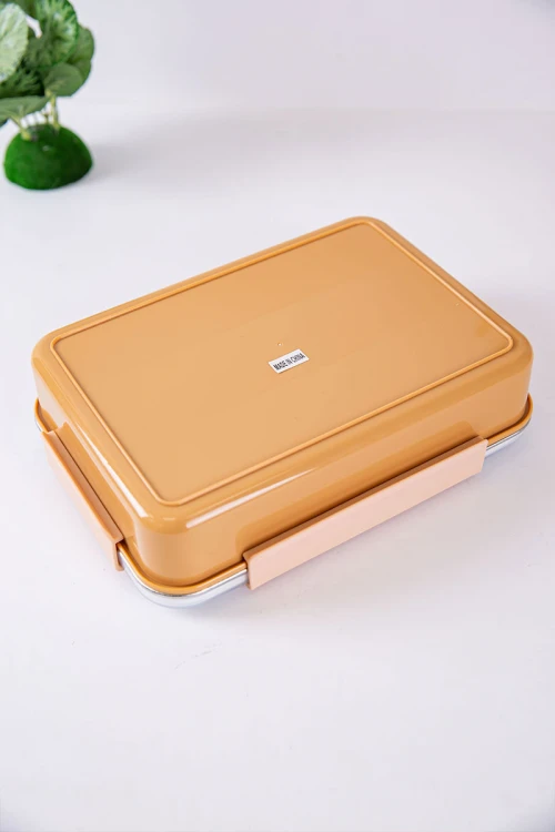 حافظة طعام مدرسية متعددة الألوان مقسمة و مزينة برسومات كرتونية مع ملعقة و شوكة بلاستيك