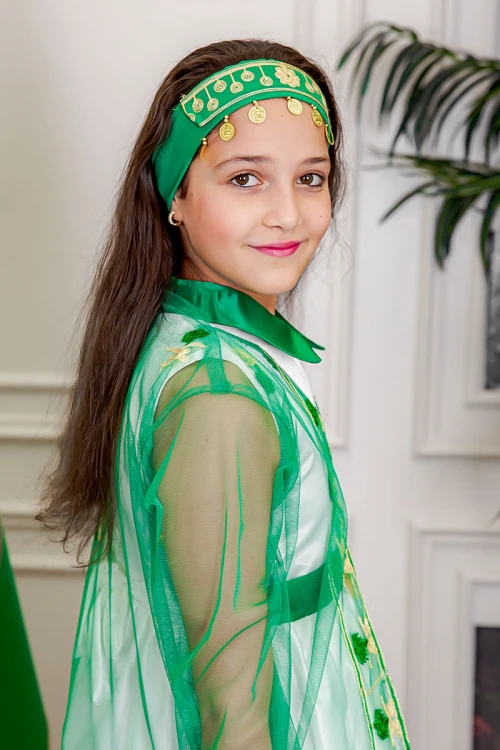 بشت بناتي عسيري تل لليوم الوطني لون أخضر مزين بتطريز تراثي سيفين و نخلة ياقة قصة سبعة و أكمام طويلة