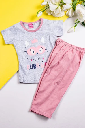 طقم بناتي قطعتين تيشيرت باللون الرمادي الفاتح مزين برسومات و كتابات من الأمام مع بنطلون طويل لون وردي 